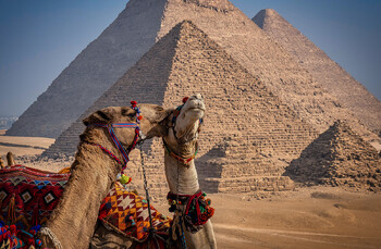 В Египте до конца года могут заработать карты платёжной системы «Мир» 