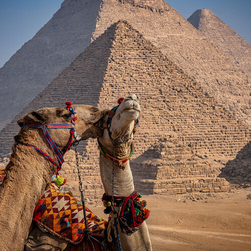 В Египте до конца года могут заработать карты платёжной системы «Мир» 