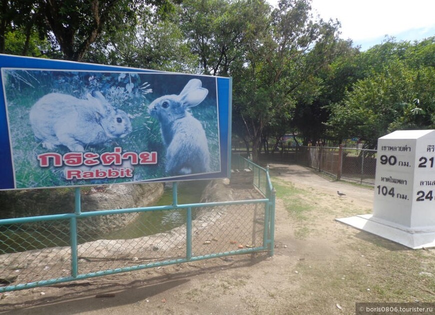 Редкий в стране зоопарк, который даже для иностранцев бесплатный