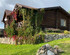 Загородные дома у озера Подсолнухи