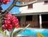 Beautiful 4-bed Villa Pool & Maid in La Preneuse