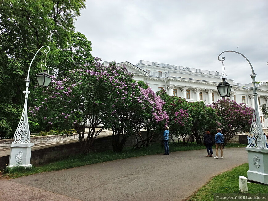 Санкт-Петербург. Июньская весна и хрупкая красота музея на Елагином острове