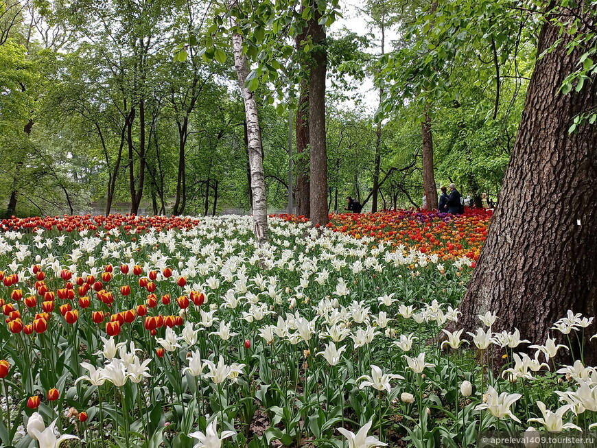 Санкт-Петербург. Июньская весна и хрупкая красота музея на Елагином острове