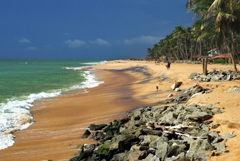На Шри-Ланке решили сохранить бесплатные визы для туристов из России