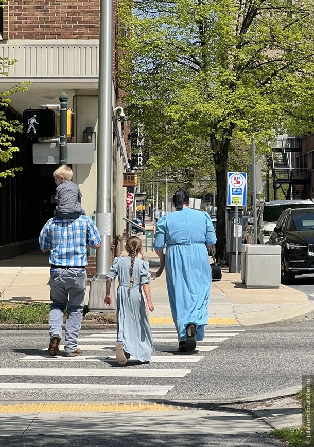 В штате Пенсильвания проживает много амишей - старообрядцев.