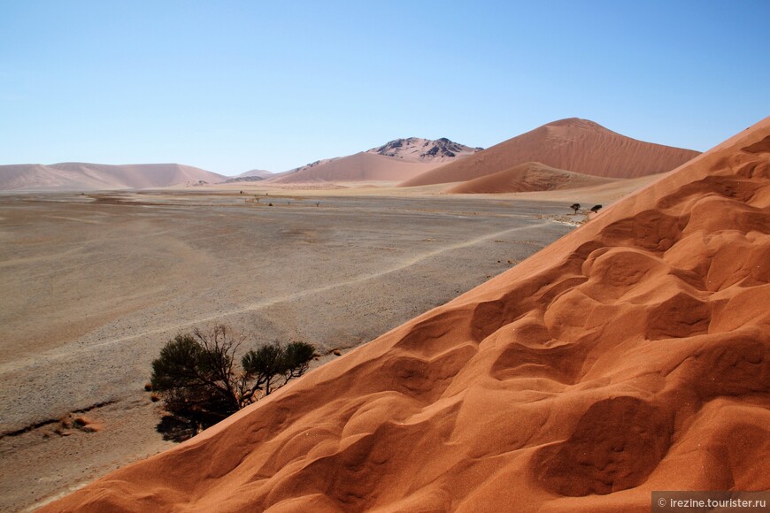 Бриллиантовое кольцо Намибии. Ч.3. О красных песках, мертвых деревьях и пагубном влиянии жары на интеллект