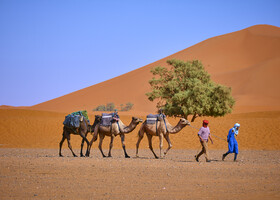 Марокканские картинки