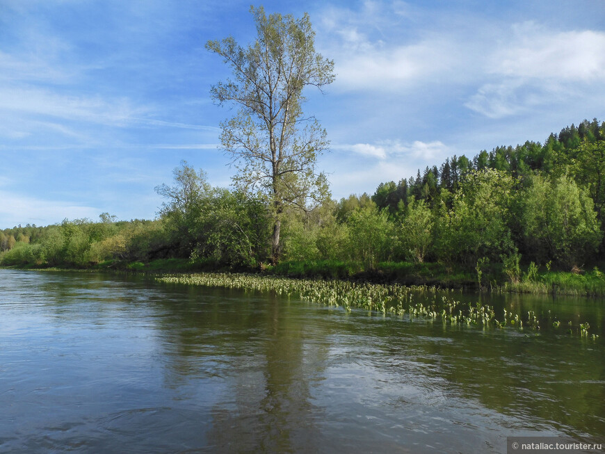 Природный парк «Оленьи ручьи», сплав по реке Серга 