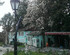 House On Magnolii 1