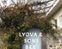 Lyova  Sons BB