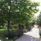 Парк «Ореховая роща» в Анапе