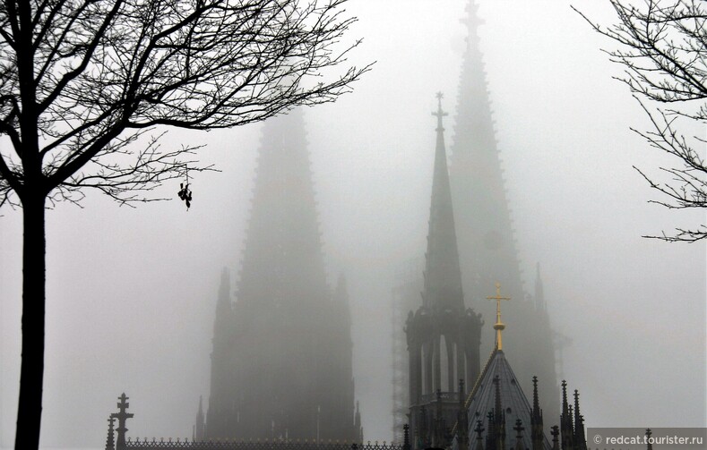 Ёжик в тумане. Кёльнский собор.