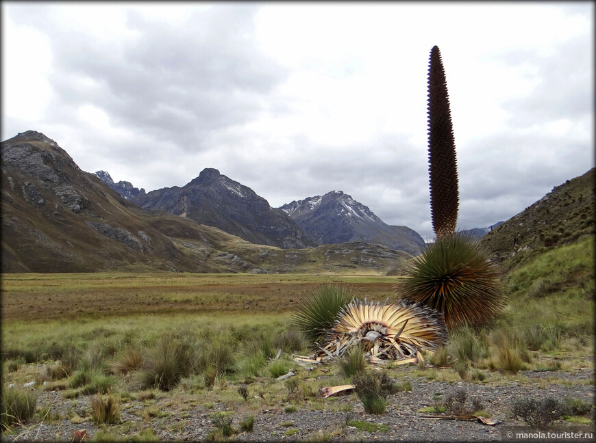 Исчезающие диковины перуанских Анд  