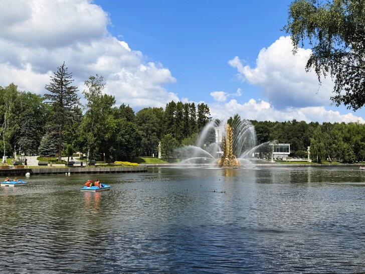 В Ландшафтном парке ВДНХ расположена лодочная станция 