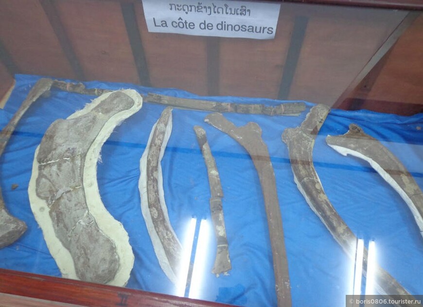 Небольшой музей на редкую для Лаоса тему