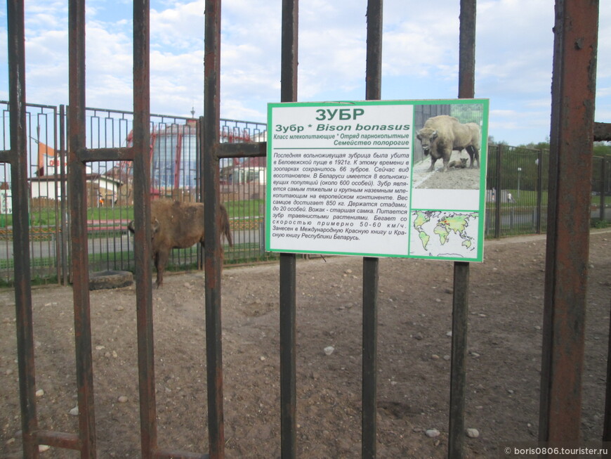 Посещение столичного зоопарка