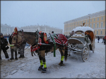 На Дворцовой площади в Петербурге лошадь с каретой врезалась в толпу, есть пострадавшие 