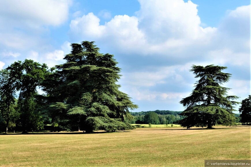 Английский парк с ливанскими кедрами, заменивший французский парк, первоначально разбитый в 16 веке. 