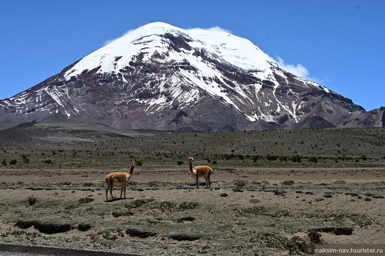 Чимборасо - самая высокая точка Эквадора (6310м.)