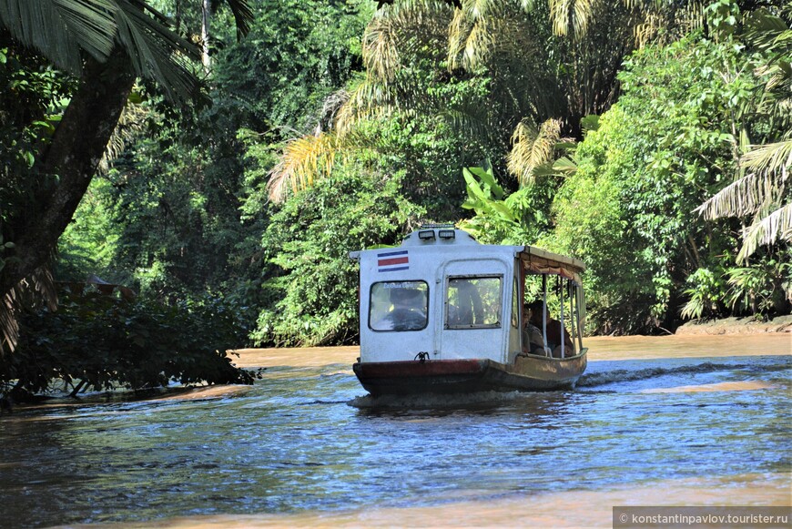 Коста-Рика. В Тортугеро по реке