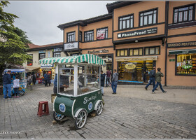 Бурса — город каштанов (Турция)