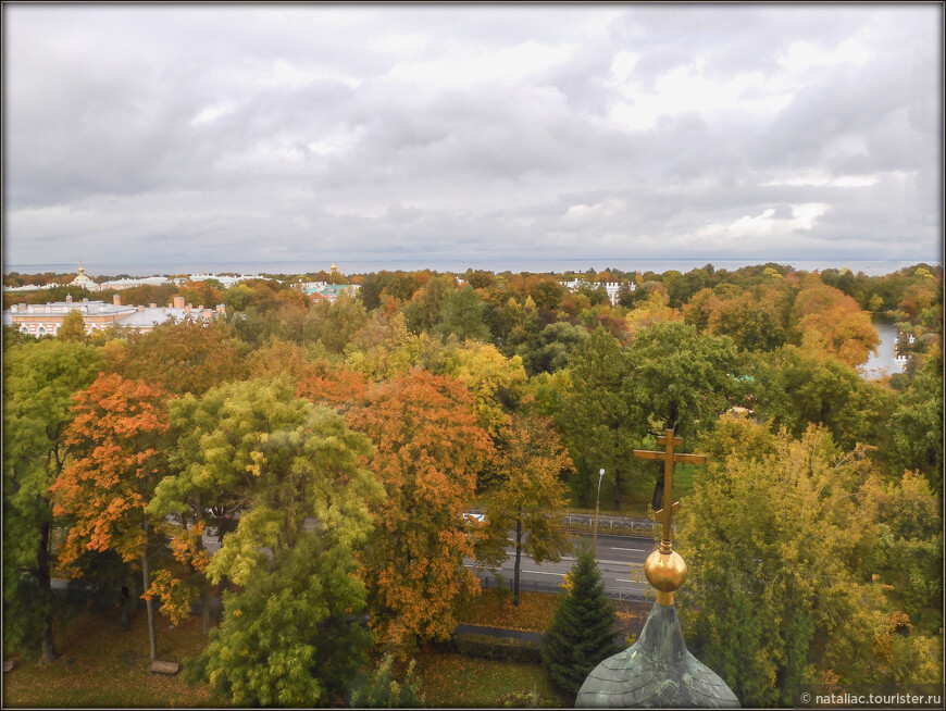 Петергофский Петропавловский собор