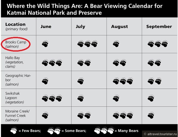 «Медвежья» активность в НП Катмай. Видно, что на реку Брукс лучше всего приезжать в июле или сентябре.