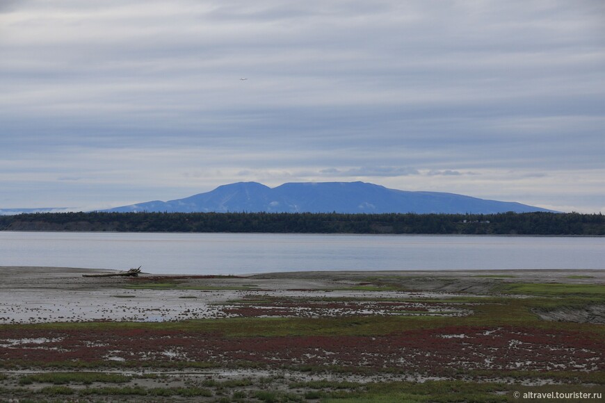 Вид с прибрежной тропы. Она названа в честь бывшего губернатора Аляски (с 1994 по 2002 год) Тони Ноулза.