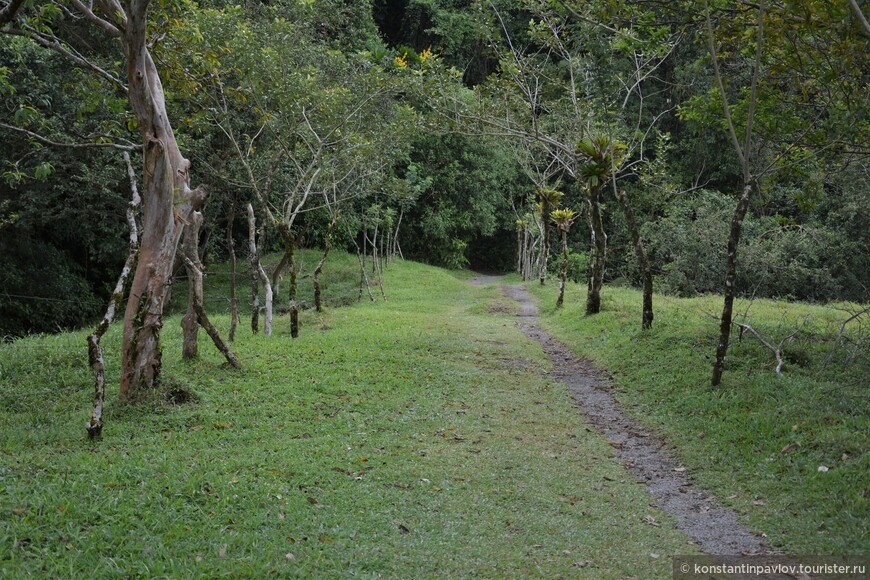 Коста-Рика. Маршруты национального парка Ареналь