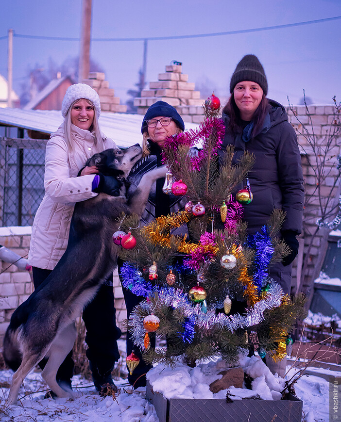 Звезда пленительного счастья