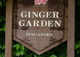 Сингапур. Сад орхидей