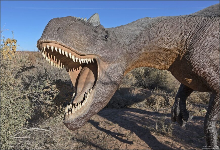 Динозавры Моаба