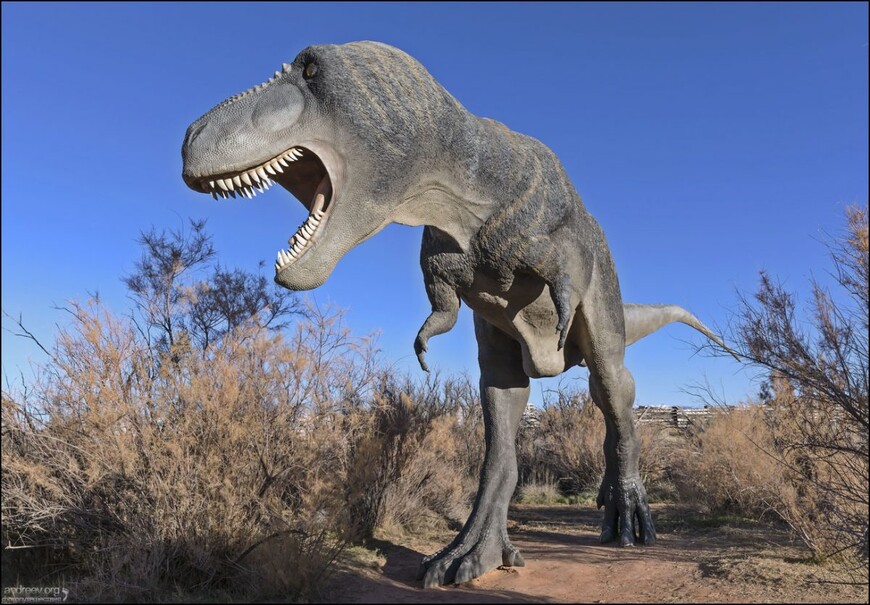 Динозавры Моаба