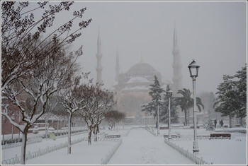 Turkish Airlines отменяет почти 240 рейсов из-за снегопадов в Стамбуле