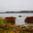 Озеро Тараскуль