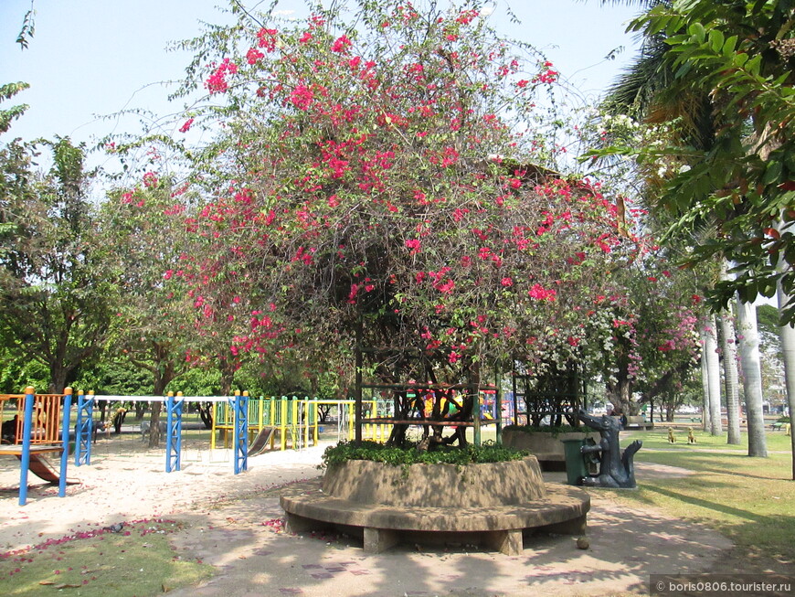 Парк в центре города и его обитатели
