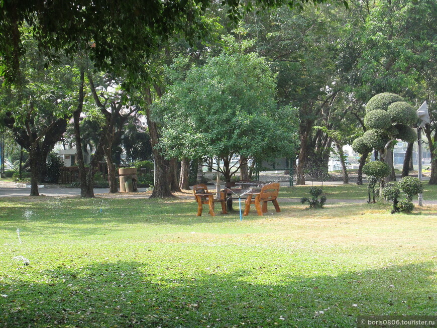 Парк в центре города и его обитатели