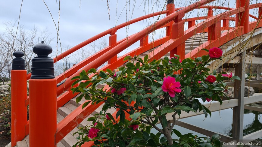 Как разбудить в себе шестое чувство, или Об эстетике японских садов