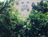 Mete Otel