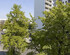 Parkapartments - Berlin 6