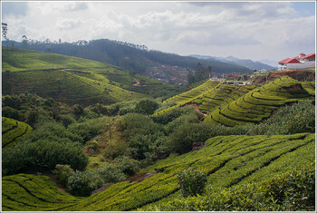 Самые популярные достопримечательности Шри-Ланки 