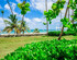 Everything Punta Cana - Pool & Beach