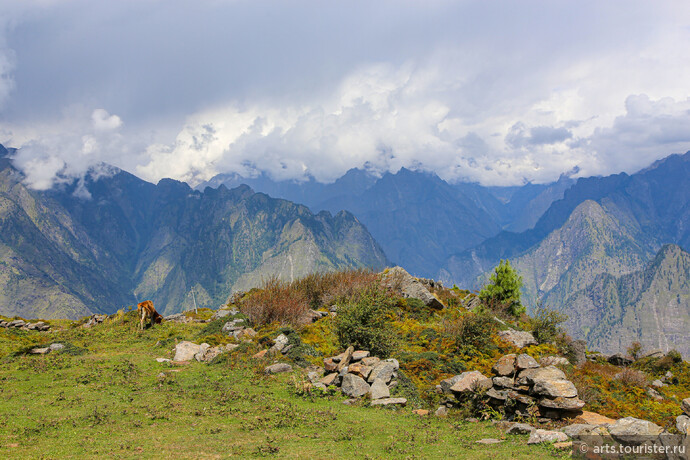 Гималайские луга на вершине 3100м