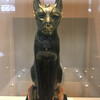 Самая любимая кошка Британского Музея