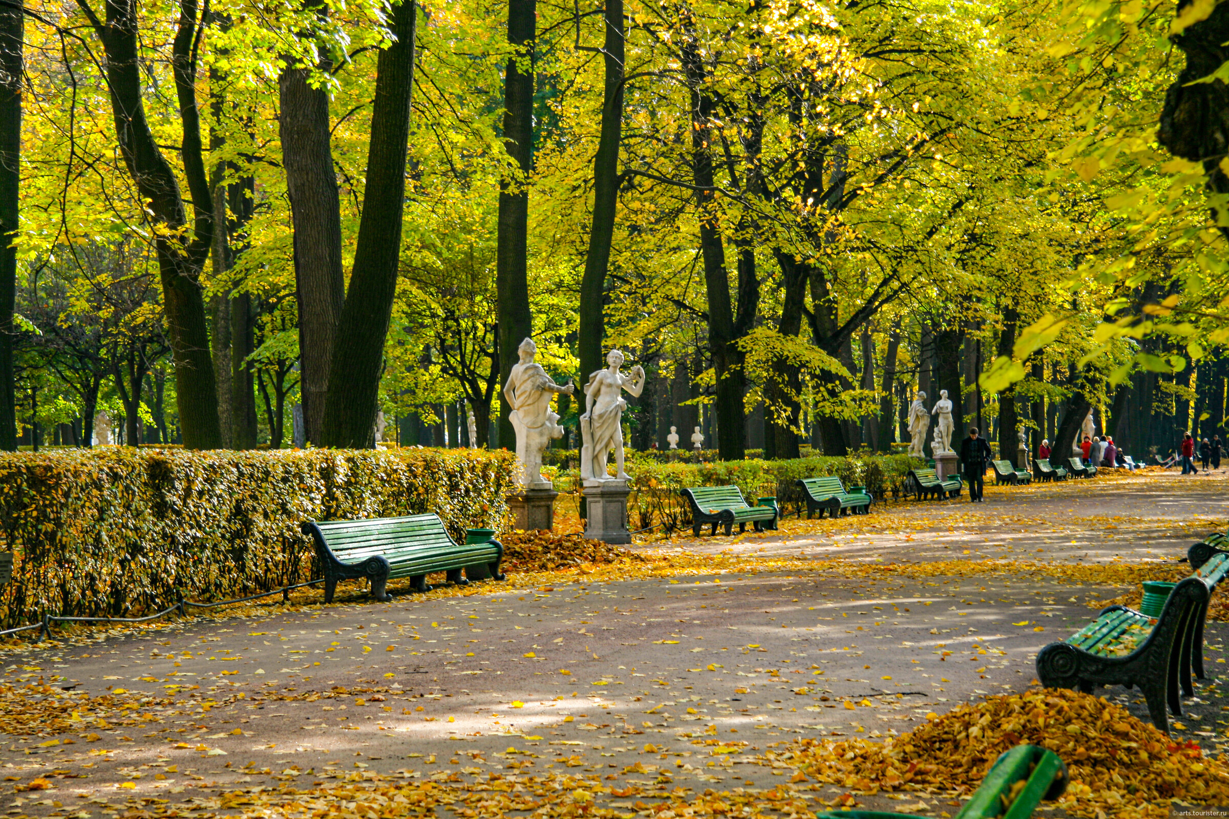 Старый Сад Спб