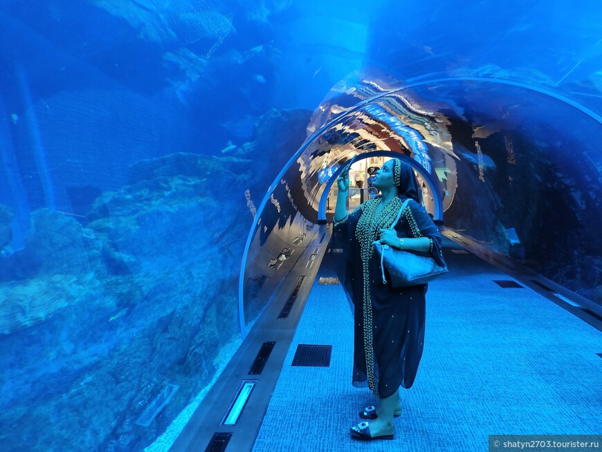 Вид на подводный мир из тоннеля.