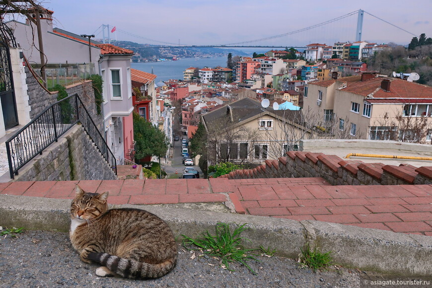 Я слушаю Стамбул, закрыв глаза. Путеводитель для искушенных 