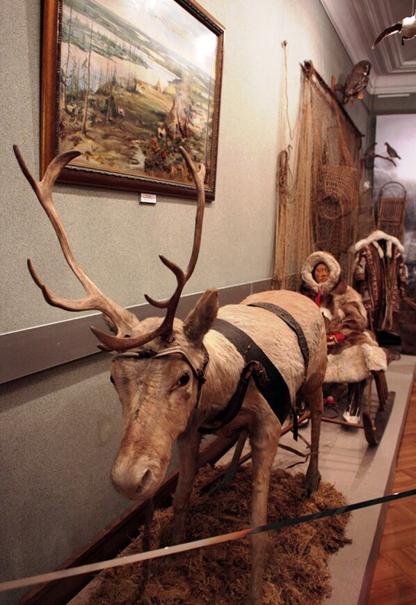 Губернский музей в Тобольске — первый музей в Сибири