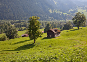 Grindelwald (Швейцария)