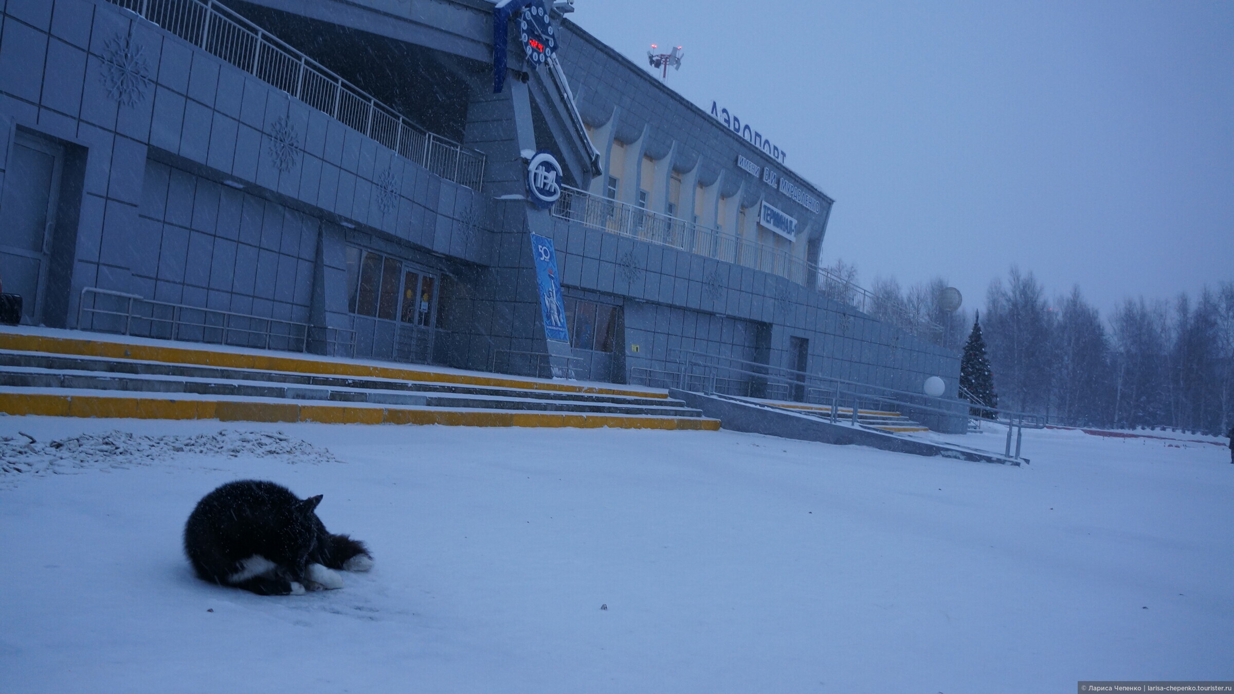 Нижневартовск Заполярье